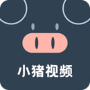 小猪视频app下载汅网站进入精简版