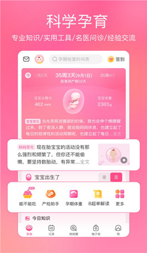 美柚app最新版安装