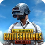 pubg国际服手游下载官方正版